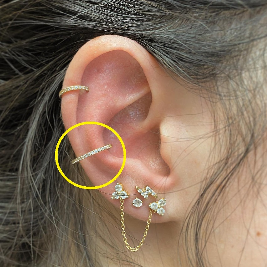 TITANSMUKKE CONCH CUFF RING