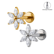 TITANSMÜKKE STRÅLA