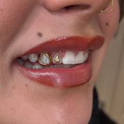 PLATED WINDOW GRILLZ