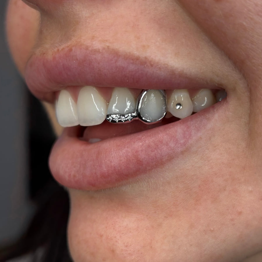 STEEL WINDOW+EDGE GRILLZ BLING
