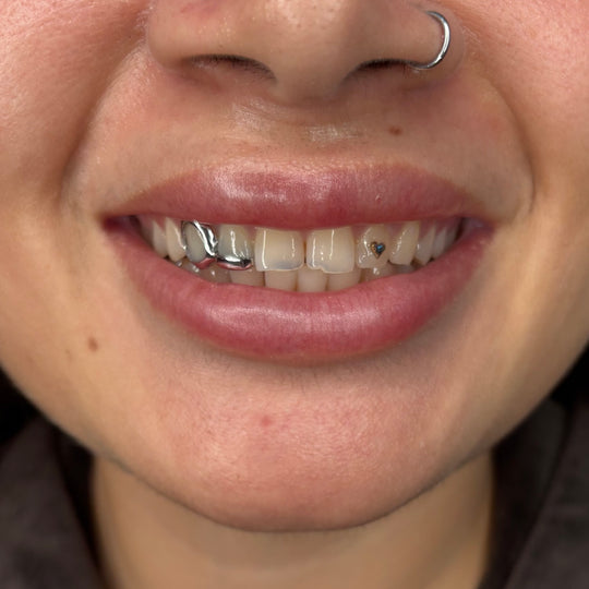 STEEL WINDOW+EDGE GRILLZ