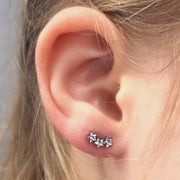 TITANSMÜKKE STJÄRNGLANS