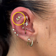 TITANSMÜKKE BLADGLANS