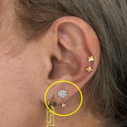 TITANSMÜKKE HÄNGBLOMMA