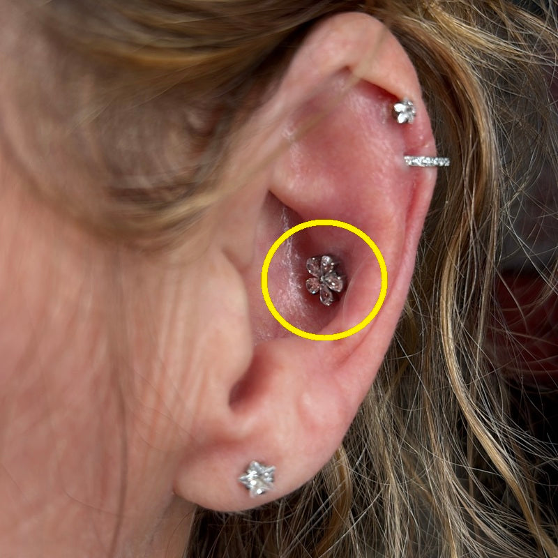 TITANSMÜKKE KRISTALLBLOMMA