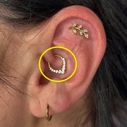 TITANSMÜKKE DAITH TIARA