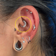 TITANSMÜKKE DAITH KRISTALLBÅGE