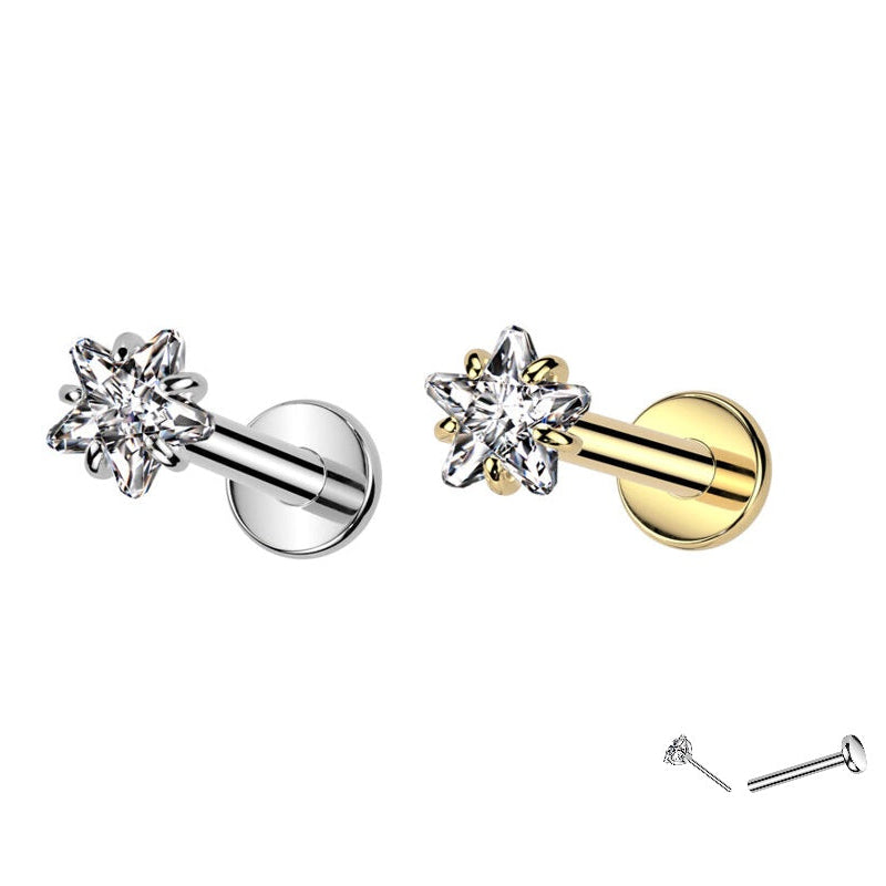 TITANSMÜKKE KRISTALLSTJÄRNA