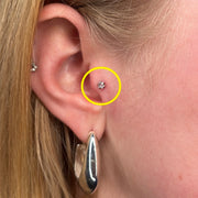 TITANSMÜKKE KRISTALLSTJÄRNA