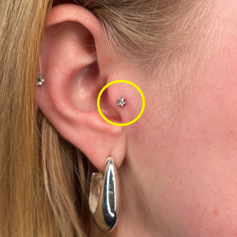 TITANSMÜKKE KRISTALLSTJÄRNA