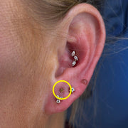 TITANSMÜKKE LITEN STJÄRNA