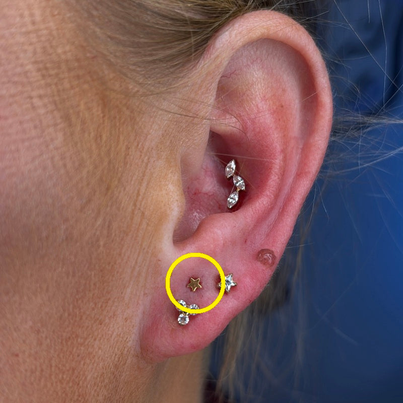 TITANSMÜKKE LITEN STJÄRNA