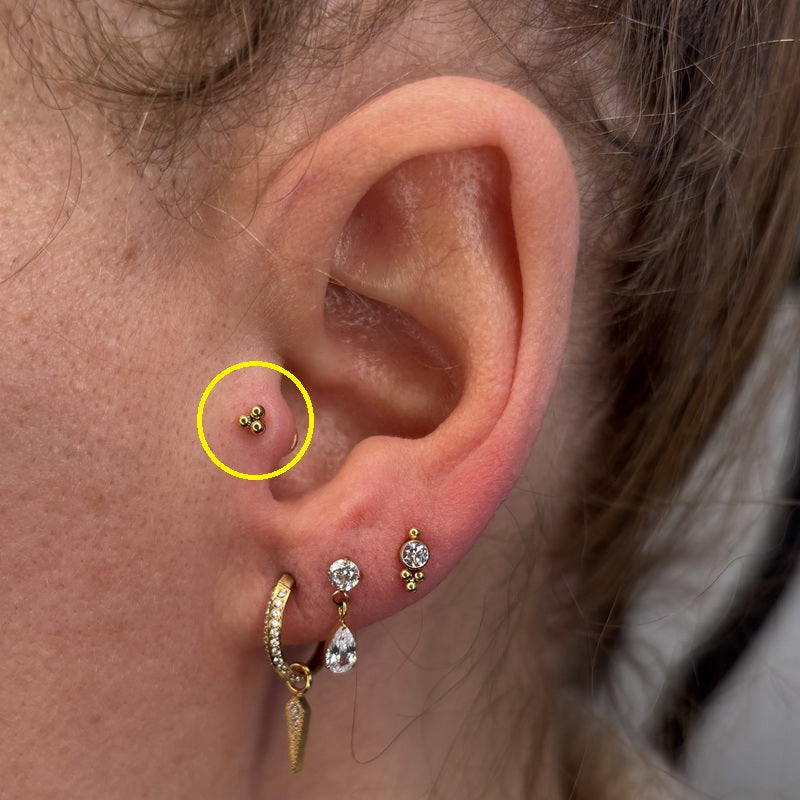 TITANSMÜKKE LITEN TRIO