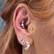 TITANSMÜKKE MELLAN KLUSTER