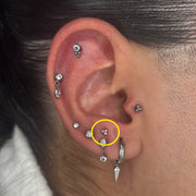 TITANSMÜKKE MINI KLUSTER