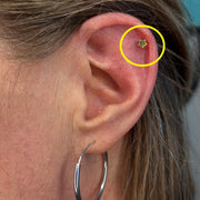 TITANSMÜKKE STJÄRNA