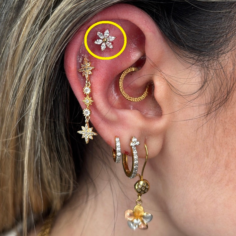 TITANSMÜKKE STRÅLA