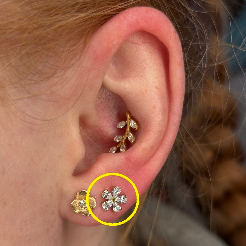 TITANSMÜKKE KRISTALLBLOMMA