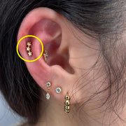 TITANSMÜKKE STJÄRNTRISS