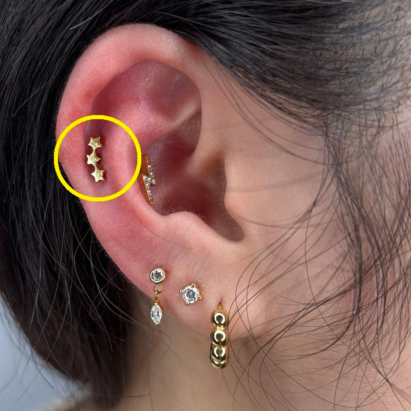 TITANSMÜKKE STJÄRNTRISS