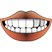 DOUBLE STEEL FLAT GRILLZ