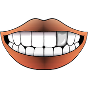 STEEL FLAT GRILLZ